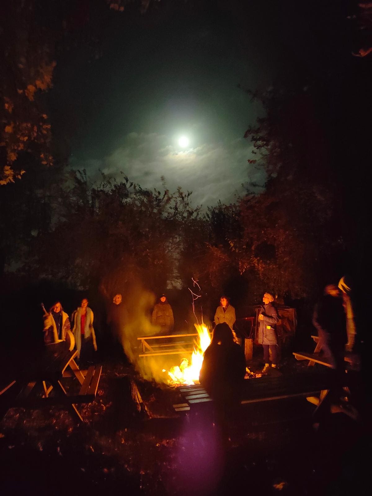 Séminaire de développement personnel - Feu de Camp